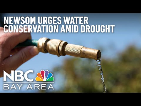 Understanding the Legality of Lawn Watering in California: Exploring the Regulations and Guidelines