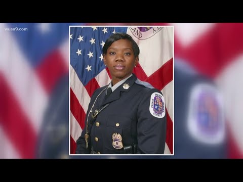 Understanding Noise Complaint Laws in Prince George's County, Maryland