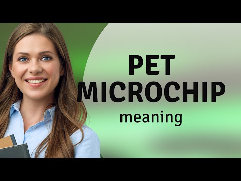 Understanding the New Law for Pets in the UK: A Comprehensive Guide