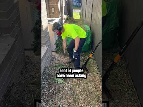 The Legalities of Depositing Waste in Another Person's Bin