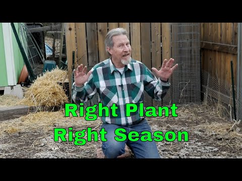 Understanding the Legality of Certain Plants in Your Garden