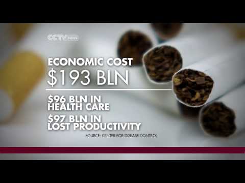 The Significance of the No Smoking Policy: Understanding its Purpose