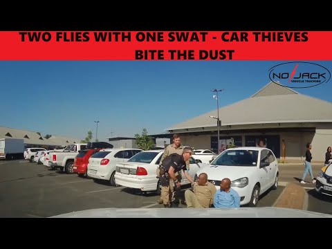 Understanding Section 176 of the Road Traffic Act: A Comprehensive Guide