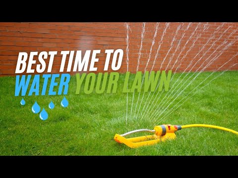 The Optimal Time for Watering Your Lawn: A Comprehensive Guide