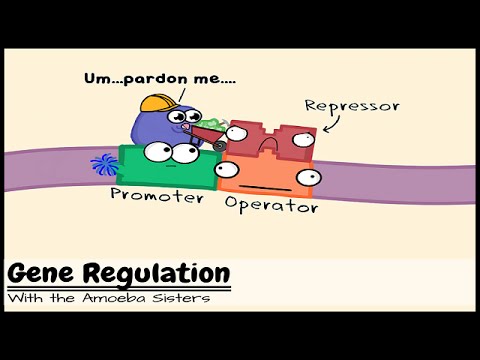 Understanding Regulation 11: A Comprehensive Guide to its Purpose and Implications