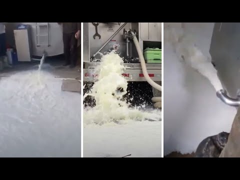 The Legal Implications of Pouring Milk Down the Drain in the UK: What You Need to Know