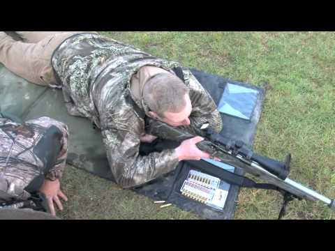 Understanding the Legality of Fox Killing in the UK: A Comprehensive Guide