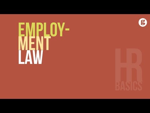 Understanding the Legality of $9.50 per Hour: Exploring U.S. Employment Laws