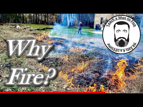 The Legalities Surrounding Burning Garden Waste in Your Garden