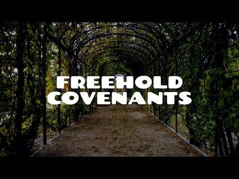 Understanding the Law of Property Act 1925 Freehold: A Comprehensive Guide