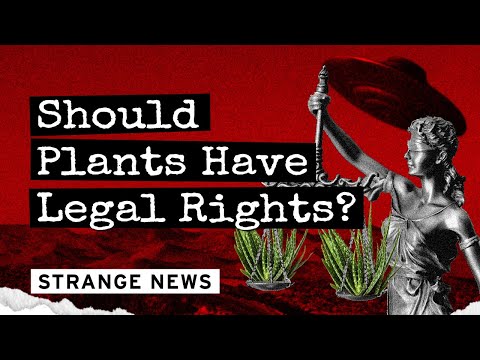 The Legal Status of Plants: Do They Have Rights?