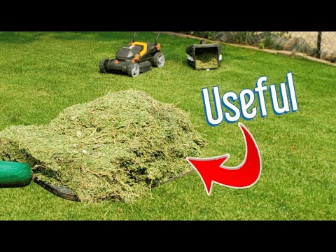 Is It Legal to Dispose of Grass Cuttings? A Comprehensive Guide to Grass Clippings Disposal Laws in the U.S.