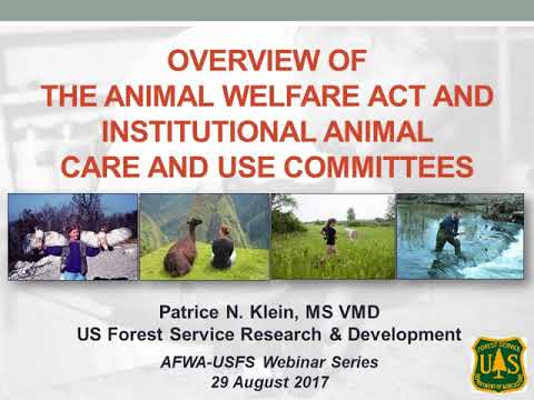 Understanding the Applicability of the Animal Welfare Act to Wildlife