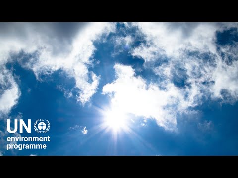 Understanding the NHS Clean Air Policy: All You Need to Know