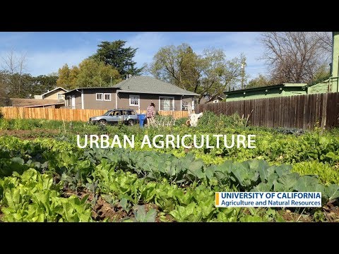 Understanding CA Law AB551: Exploring Urban Agriculture Incentive Zones and Their Purpose