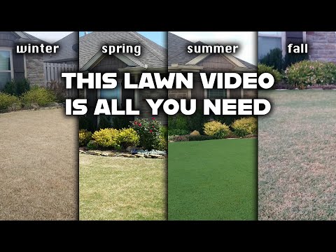 Understanding Lawn Maintenance Professionals and Their Roles