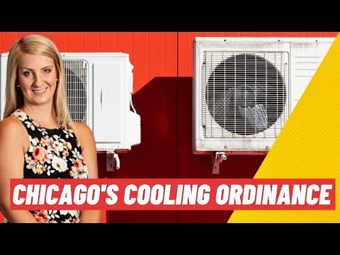 Understanding the Alley Laws in Chicago: A Comprehensive Guide