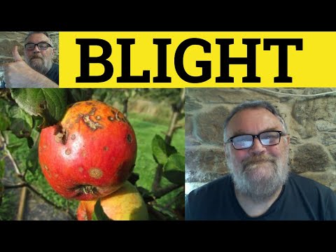 Understanding the Legal Concept of Blight: A Comprehensive Explanation