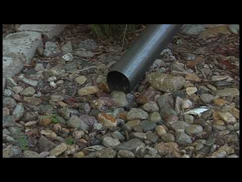 The Consequences of Polluted Runoff: Identifying the Leading Contributors