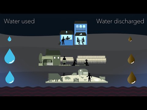 Understanding the Denmark Water Policy: Key Concepts and Implications