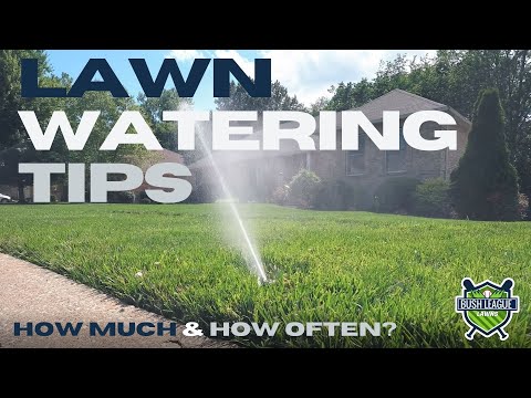 Understanding the Optimal Times to Water Your Lawn: A Comprehensive Guide