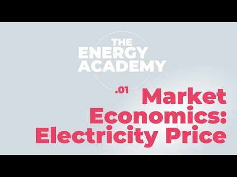 Understanding the Regulation of the Internal Electricity Market