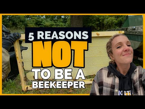 Understanding the Regulations for Keeping Bees in the UK