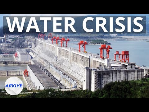 Understanding China's Water Pollution Policy: A Comprehensive Analysis