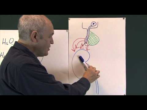 Understanding the Regulation of Water Input: A Comprehensive Guide