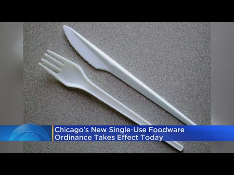 Understanding the Single Use Ordinance in Chicago: A Comprehensive Guide