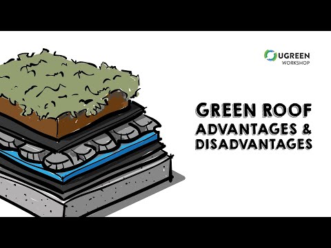The Sustainability of Green Roofs: A Comprehensive Analysis