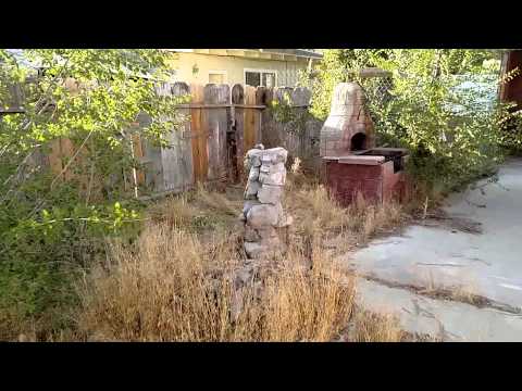 Understanding the Legal Implications of Residing in an Abandoned House in the UK