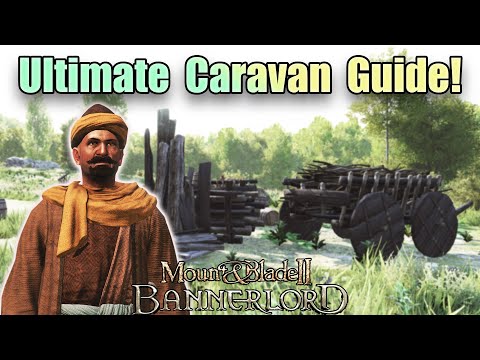 Understanding Section 29 of the Caravan Act: A Comprehensive Guide