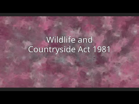 Understanding the Prohibited Activities under the Wildlife and Countryside Act 1981