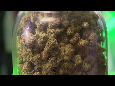 Understanding the Legal Implications of Recreational Purposes