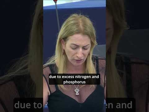 Understanding the Industrial Emissions Directive: A Comprehensive Guide to UK Law