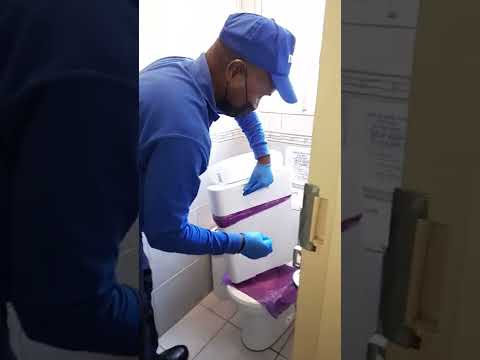 Understanding the Legalities of Sanitary Bins in the UK Workplace