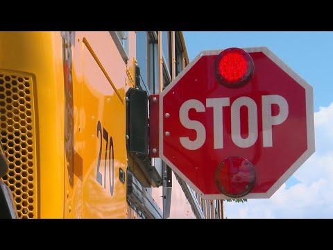 Understanding the Bus Regulation Act: A Comprehensive Guide