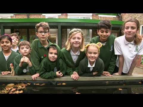 Understanding the Legality of School Uniform Requirements in the UK