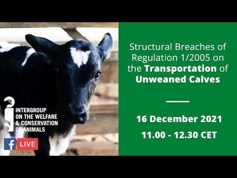 Understanding Regulation 1 2005 Transport: An In-Depth Overview