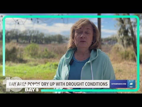 Understanding the Role of Hillsborough County Code Enforcement