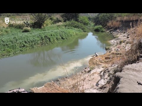 Uncovering the Oldest Artifact Found in the UK: A Historical Exploration